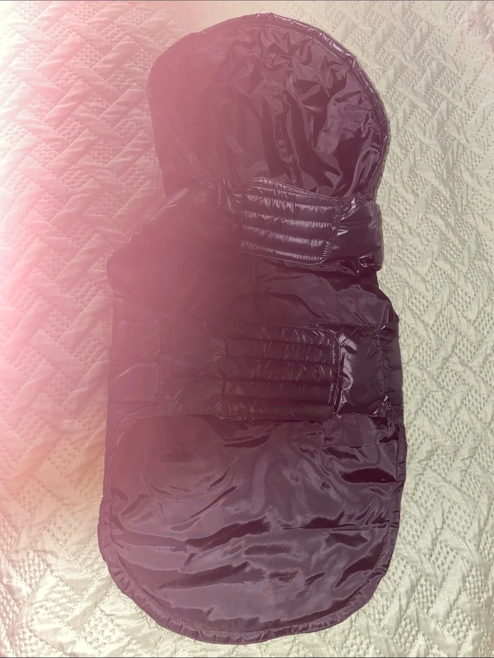 Pet Hooded Puffer Coat — Black
